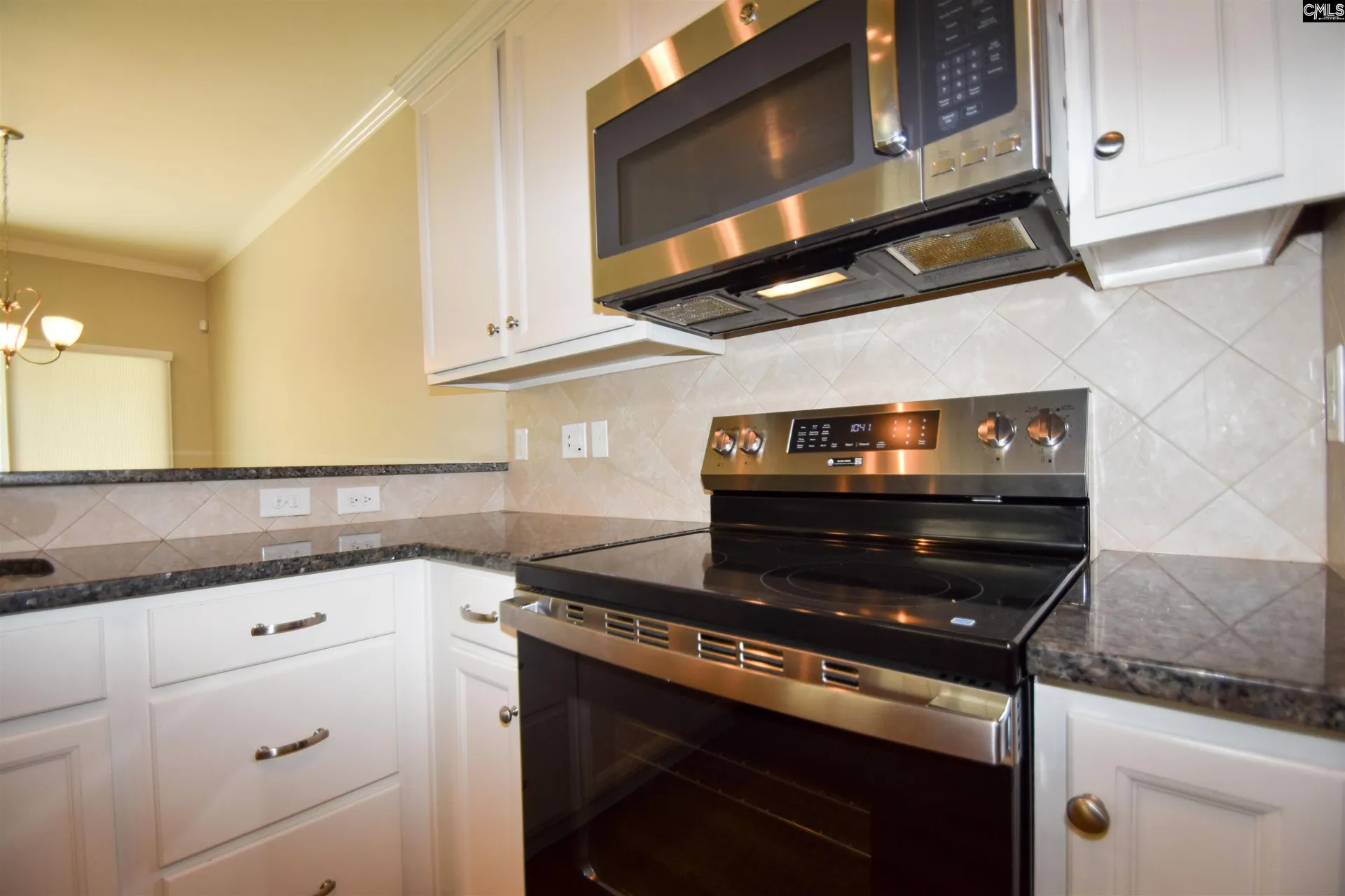 Property image 5 at 209 Jackstay Court, Chapin, SC 29036