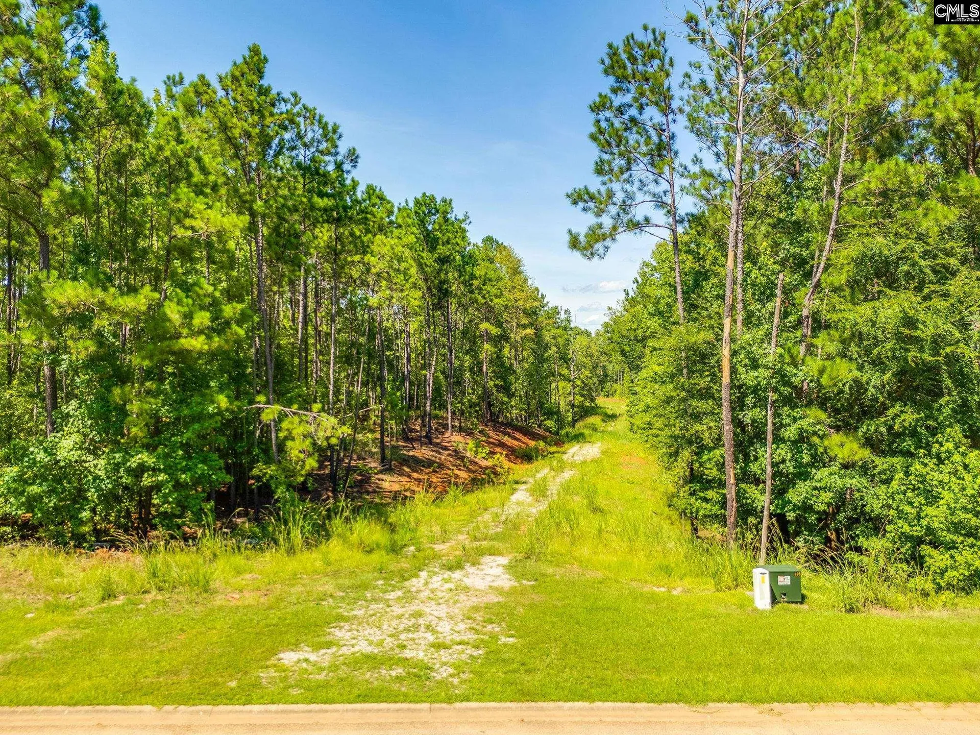 Property image 4 at 977 Retreat Way, Ridgeway, SC 29130