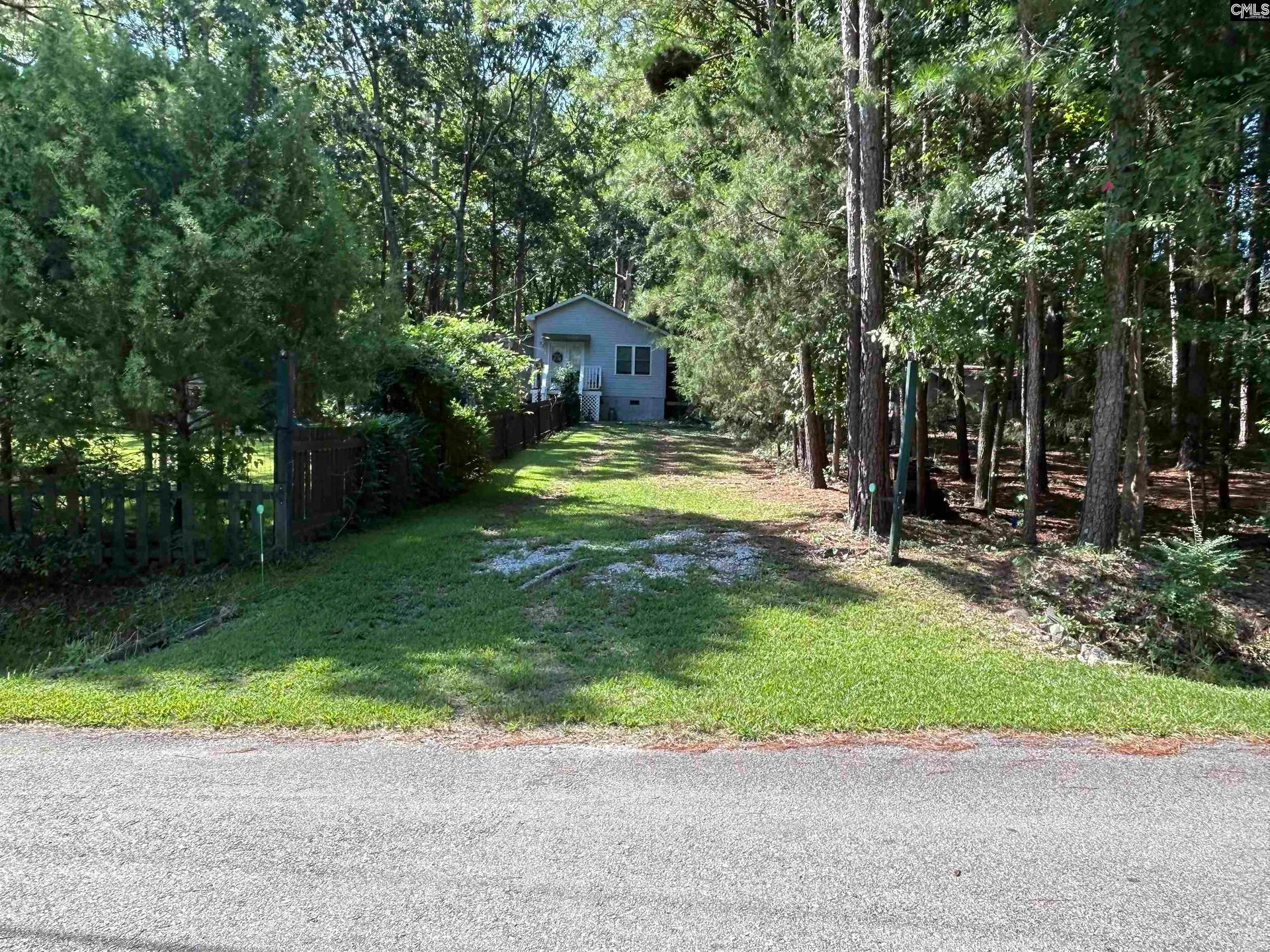 Property image 3 at 195 Lexington Lane, Chapin, SC 29036