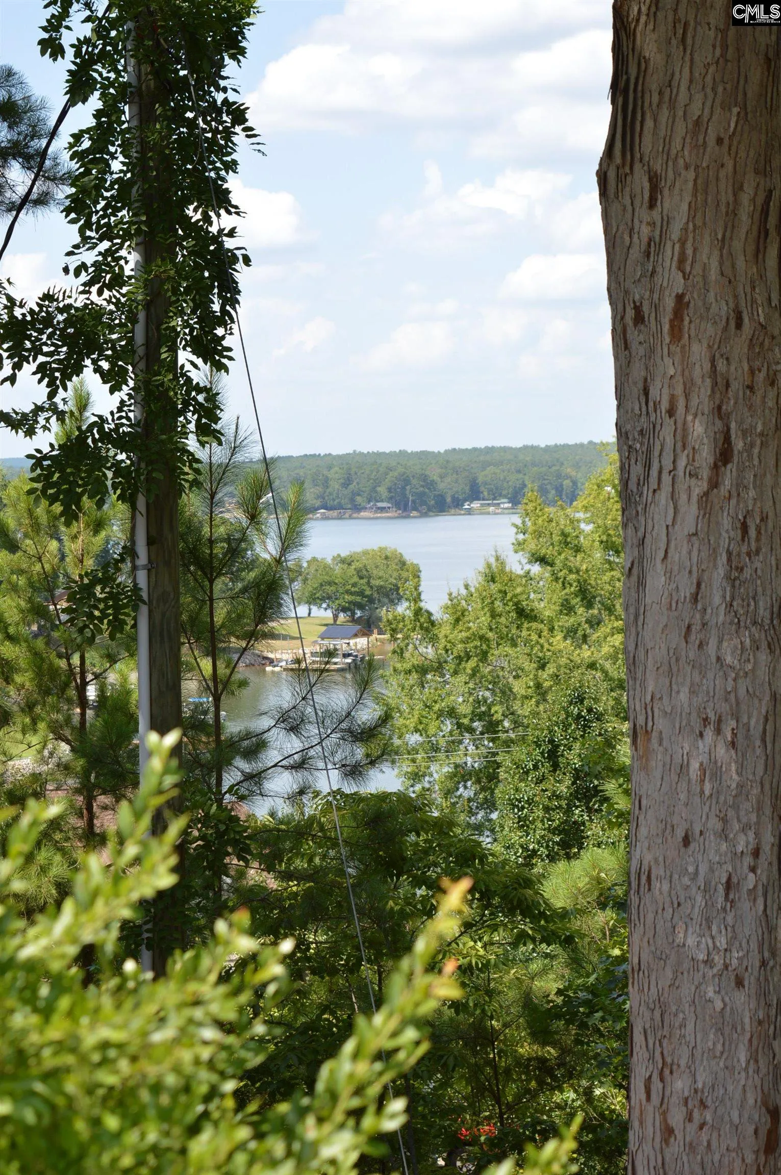 Property image 3 at 1767 Lake Road, Ridgeway, SC 29130