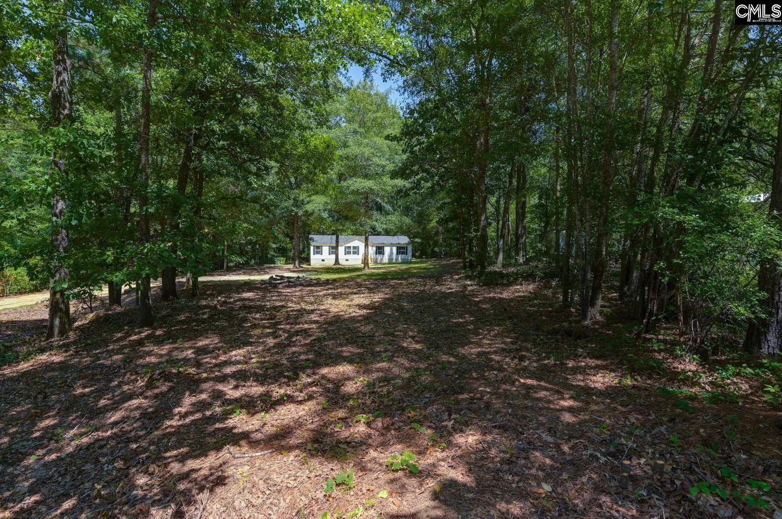 Property image 2 at 202 W Elon Court, Hopkins, SC 29061