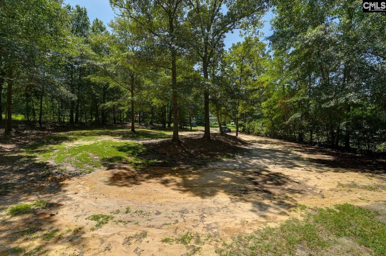 Property image 3 at 202 W Elon Court, Hopkins, SC 29061