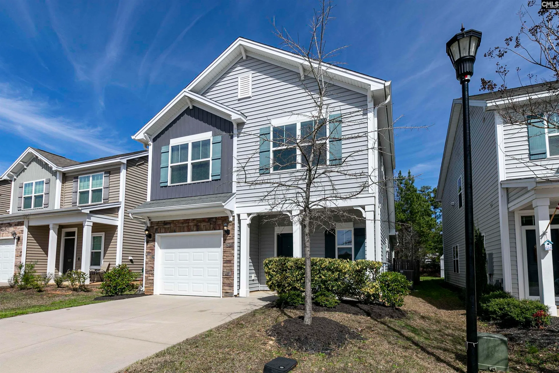 Property image 3 at 831 Bob Stay Way, Chapin, SC 29036