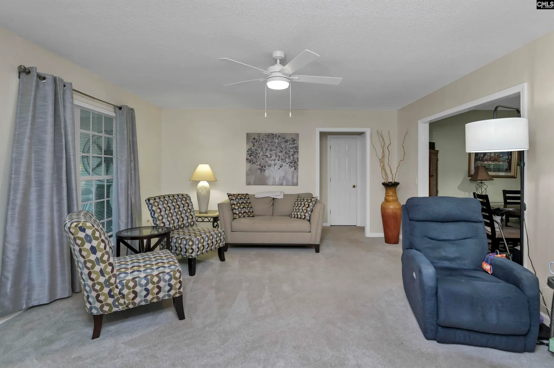 Property image 5 at 513 Newberry Drive, Chapin, SC 29036