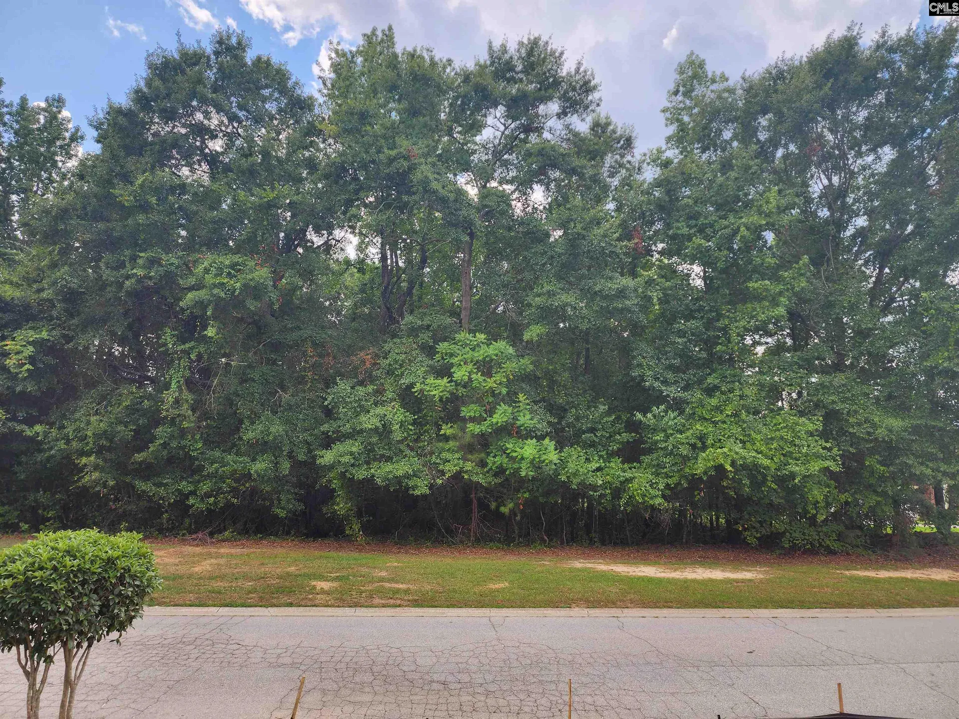 Property image 3 at 119 Hastings Point Drive, Columbia, SC 29203