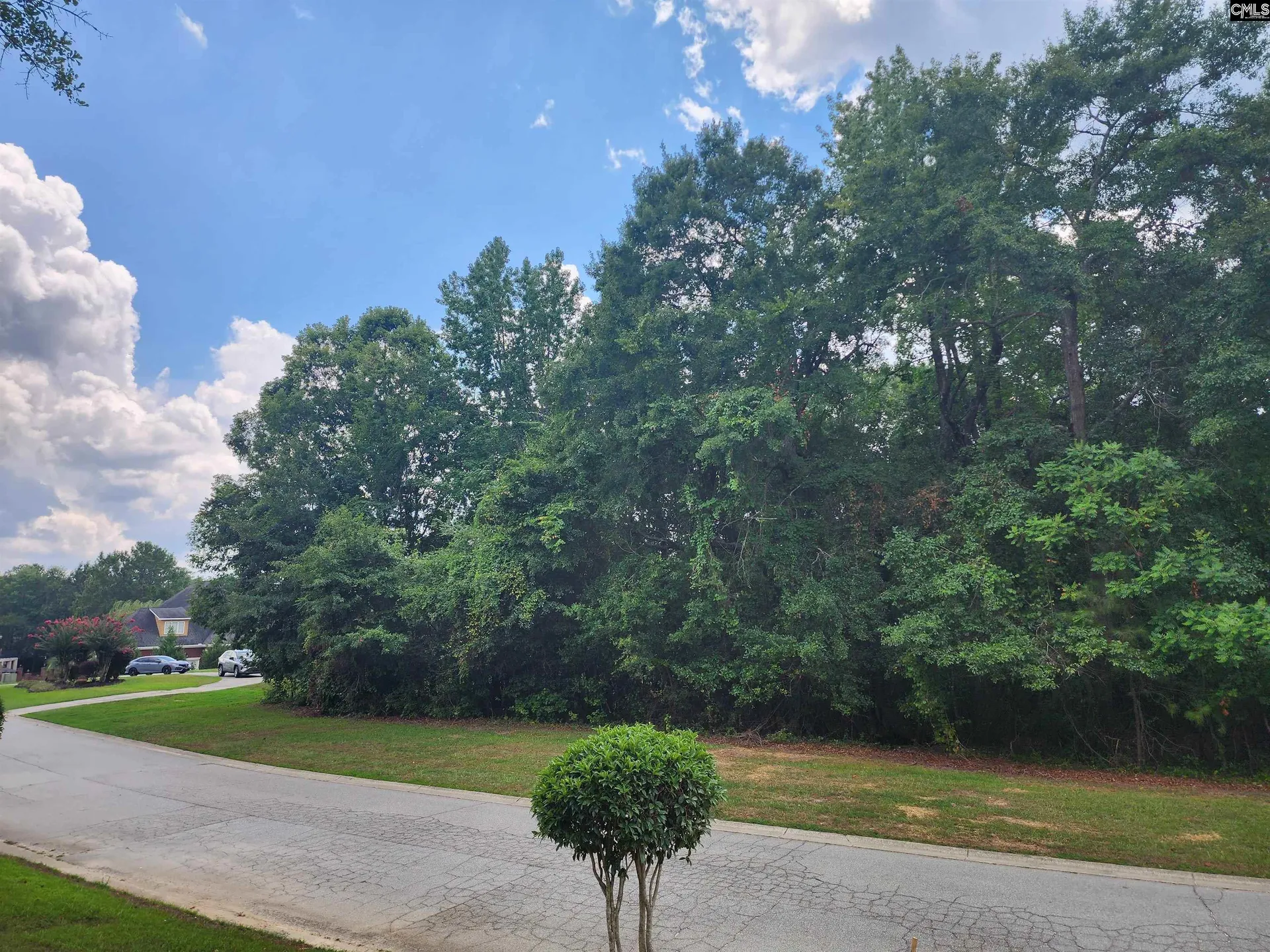 Property image 4 at 119 Hastings Point Drive, Columbia, SC 29203