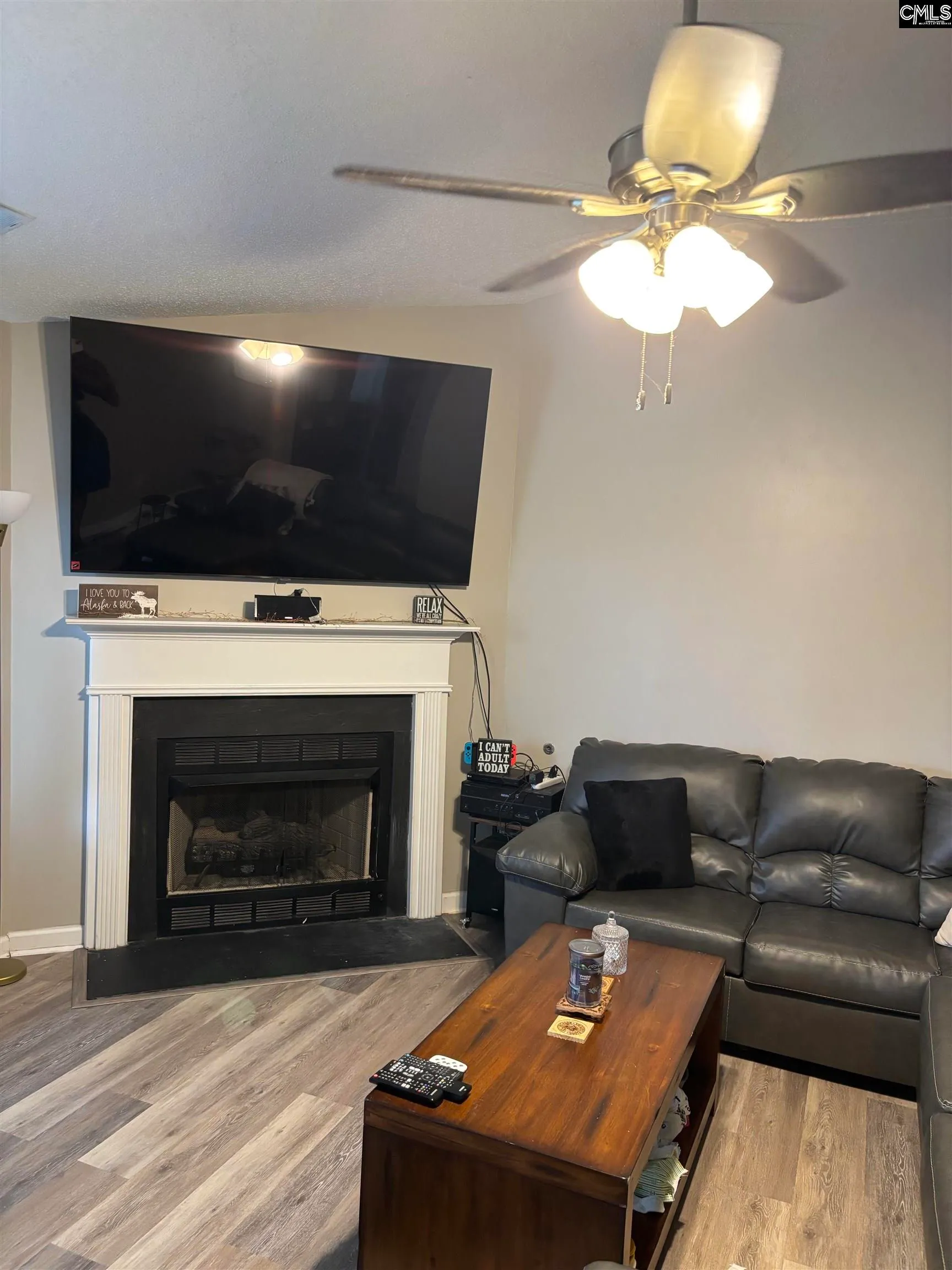 Property image 3 at 103 Palmetto Springs Drive, Columbia, SC 29229