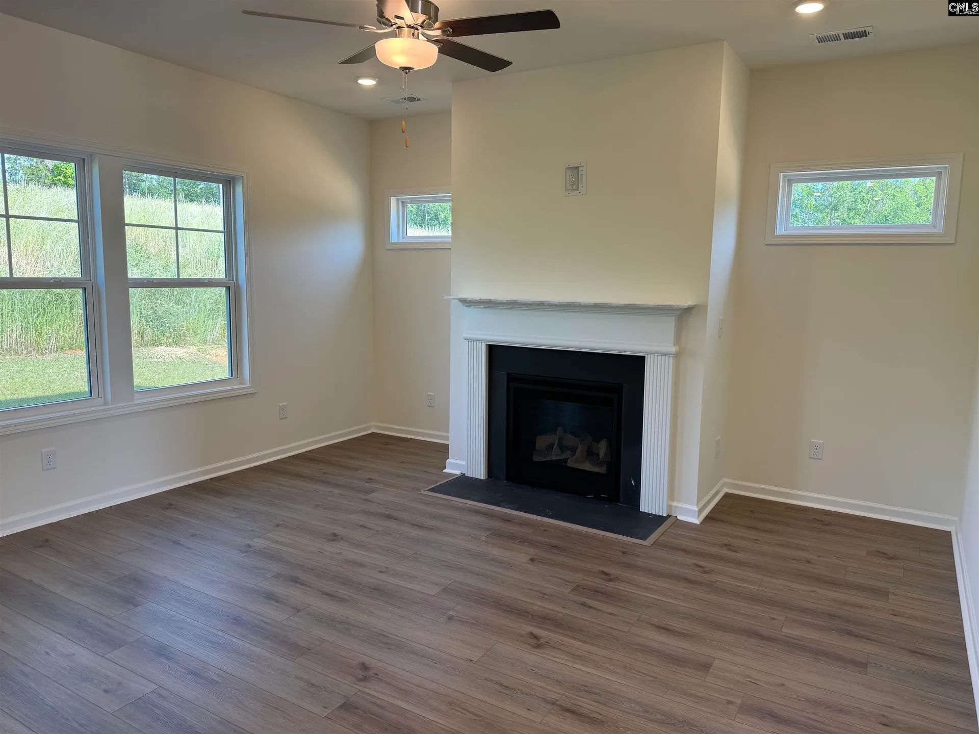 Property image 4 at 530 Griffon Drive, Chapin, SC 29036