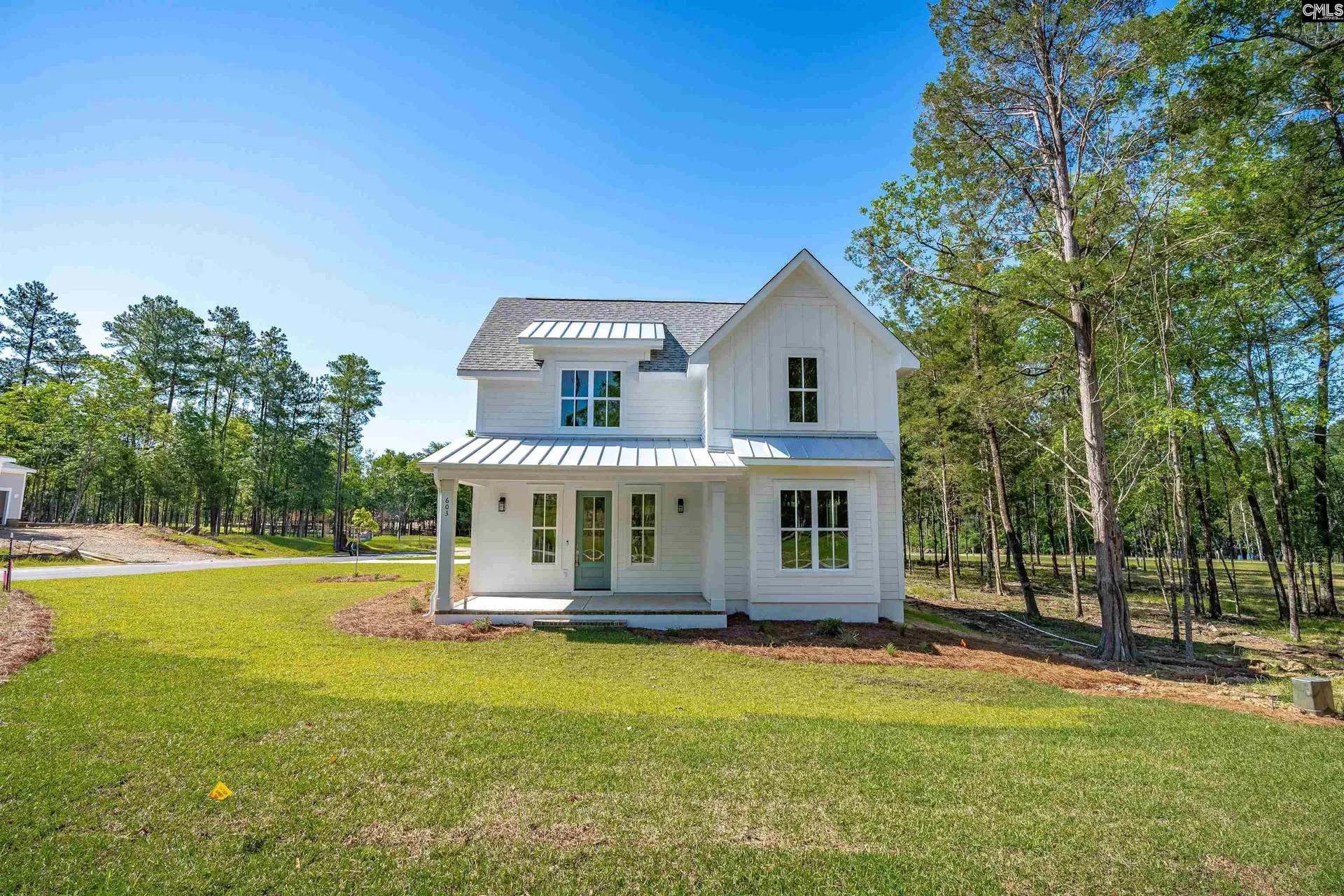 Property image 2 at 603 Misty Banks Drive, Chapin, SC 29036