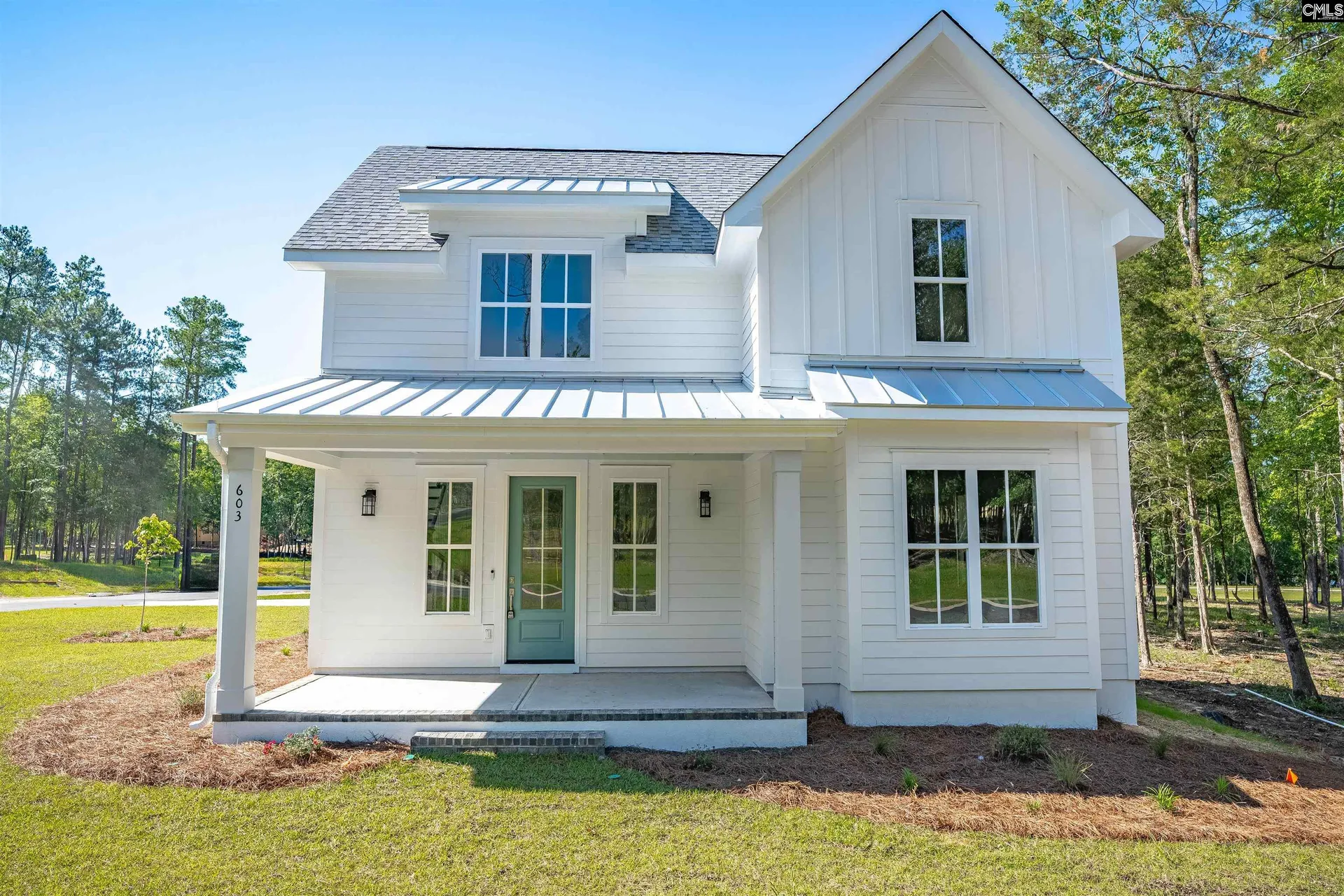 Property image 3 at 603 Misty Banks Drive, Chapin, SC 29036