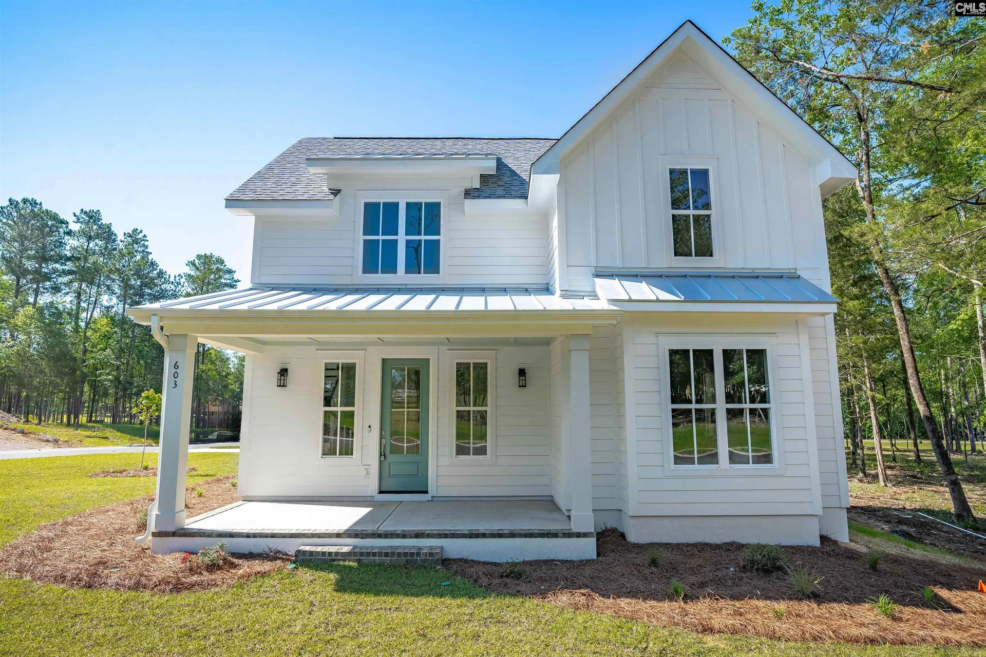 Property image 4 at 603 Misty Banks Drive, Chapin, SC 29036