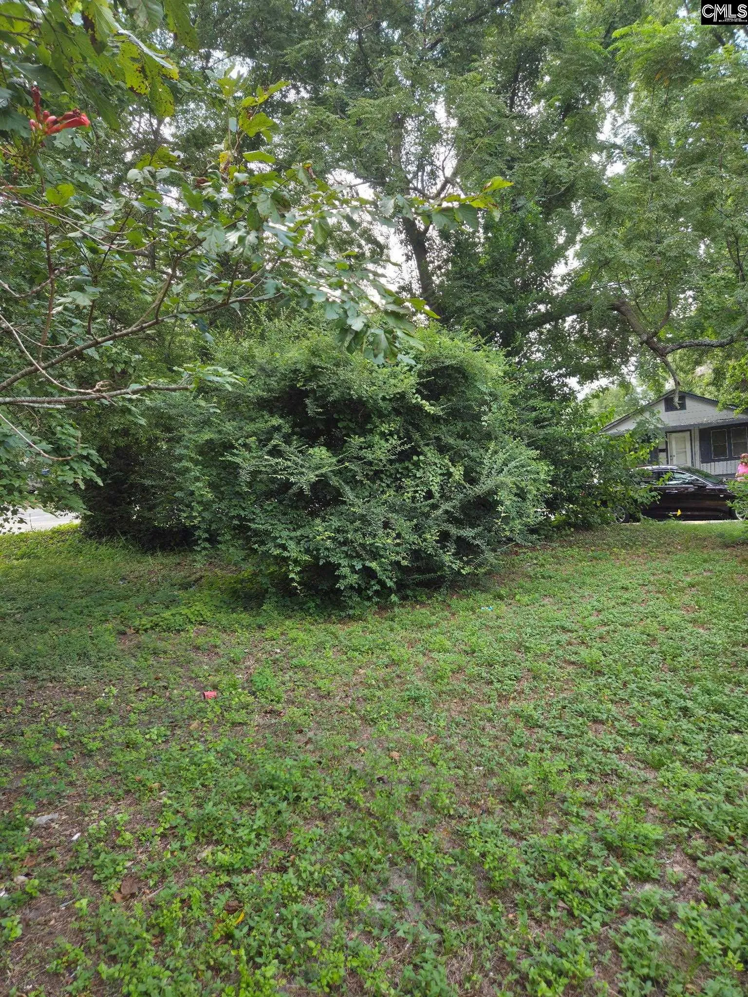 Property image 2 at 3504 Piedmont Avenue, Columbia, SC 29203