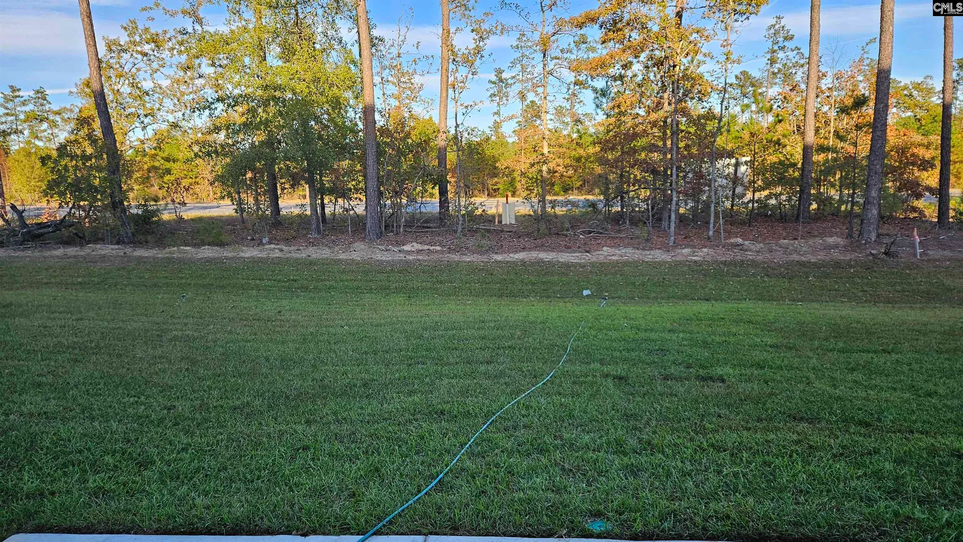 Property image 5 at 253 Sunny Hill Drive, Blythewood, SC 29016-0000