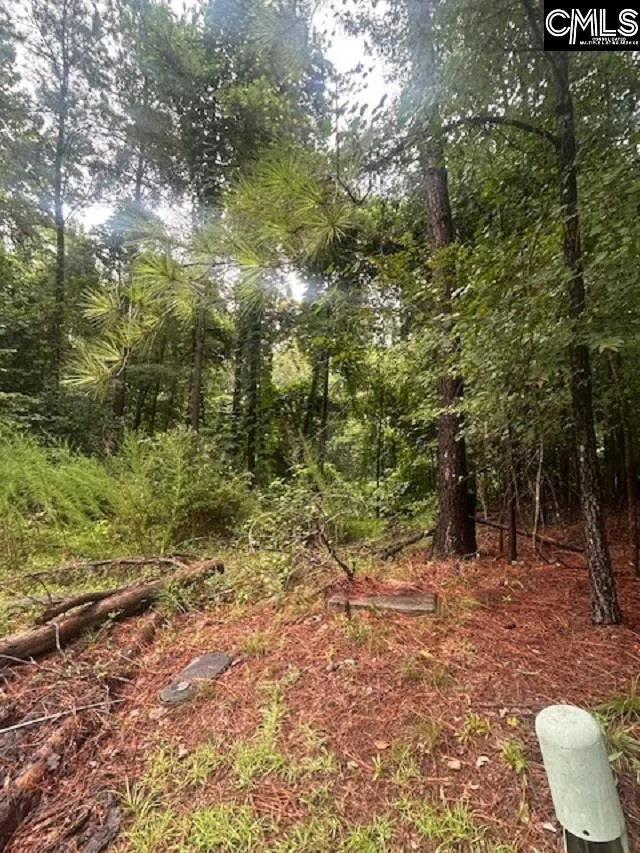 Corley Woods, Lexington Community