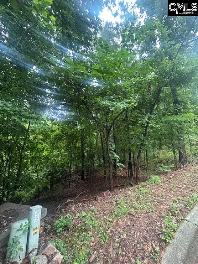 Property image 2 at 308 Bryars Court, Lexington, SC 29072