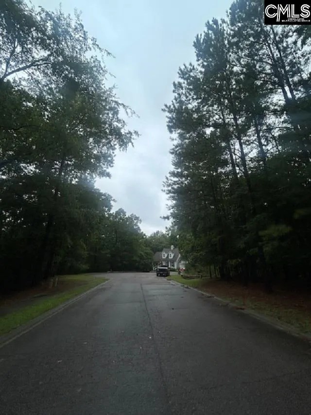Property image 3 at 308 Bryars Court, Lexington, SC 29072