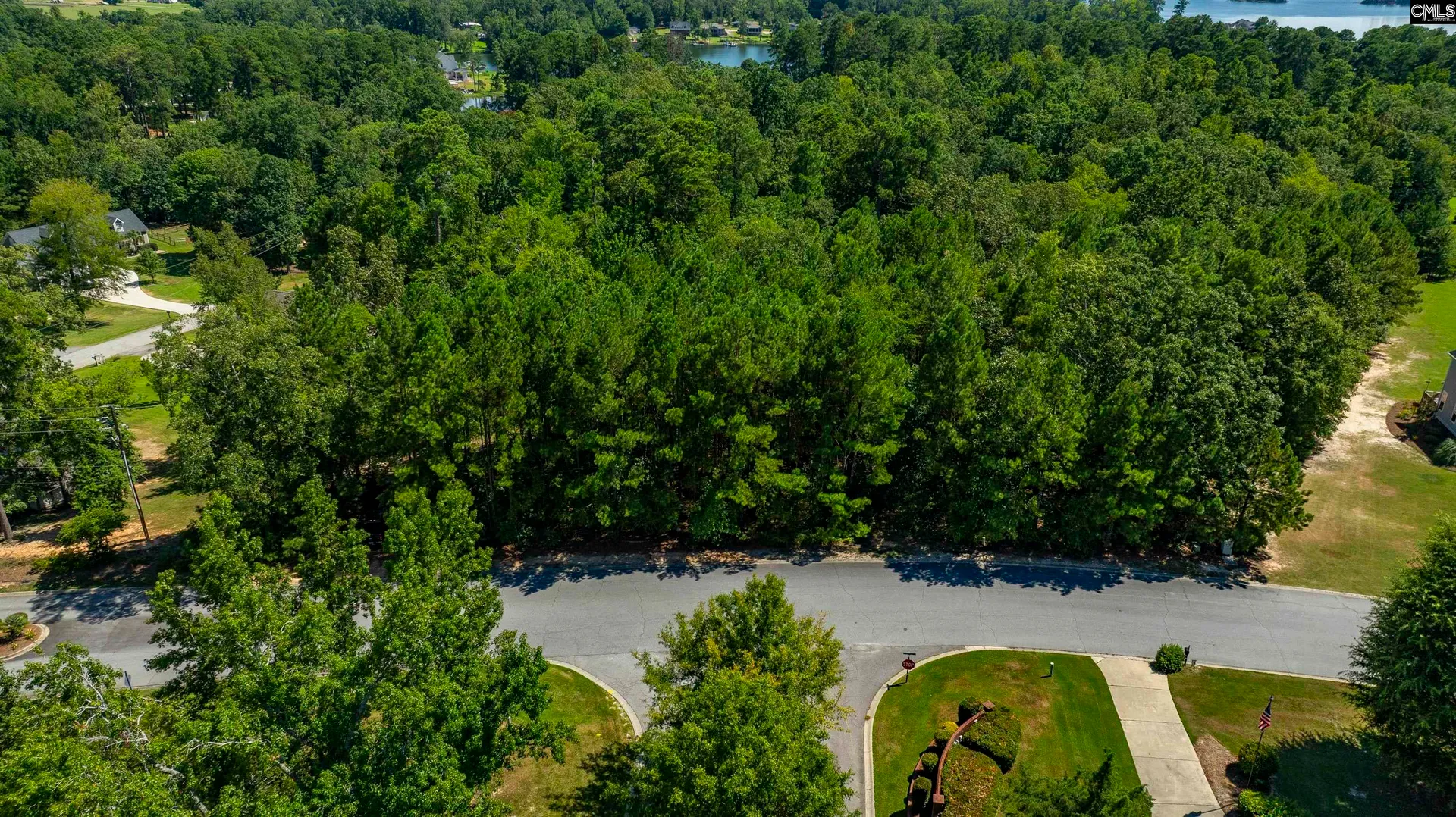 Property image 3 at 409 Caro Lane, Chapin, SC 29036