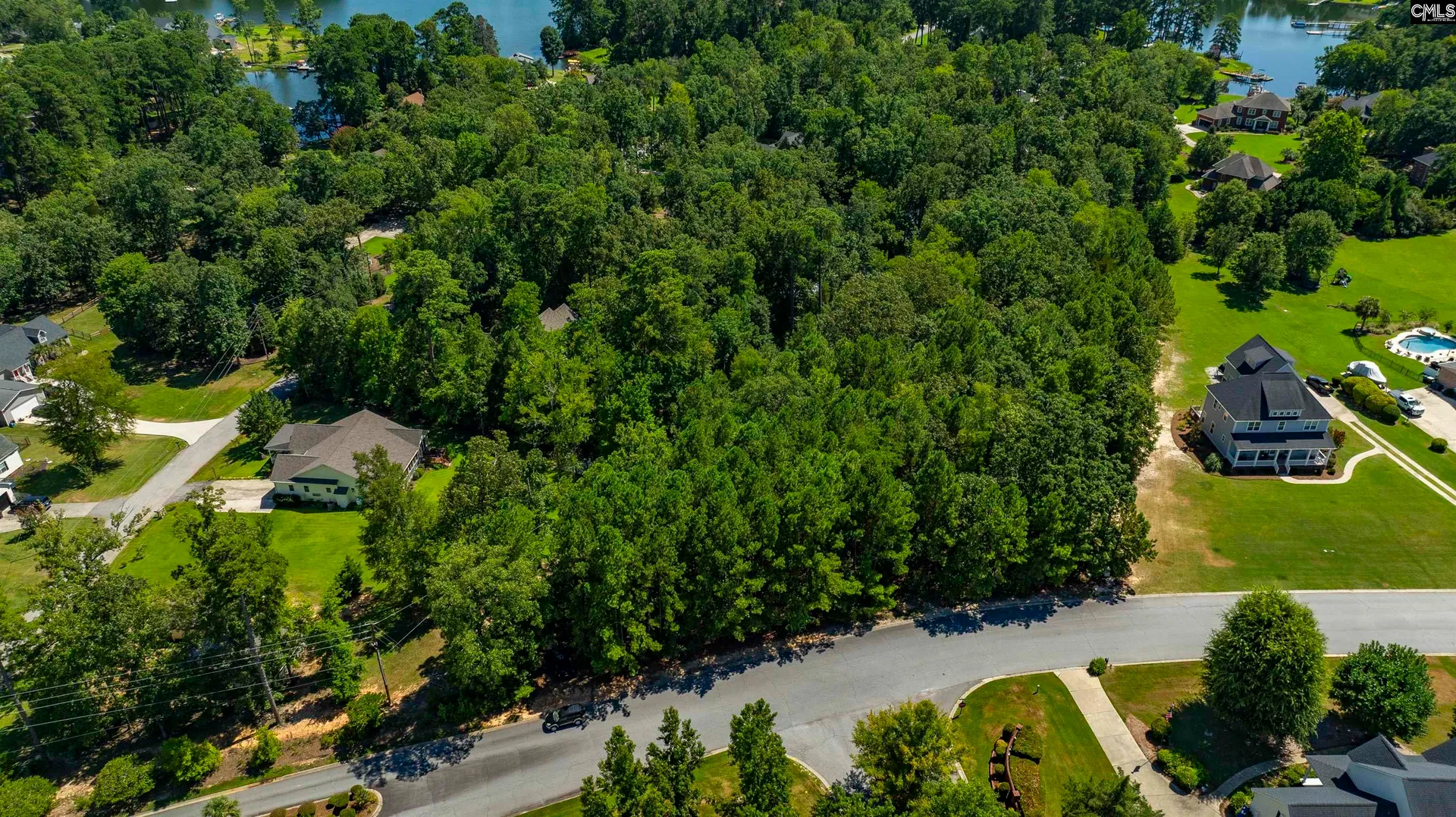 Property image 4 at 409 Caro Lane, Chapin, SC 29036