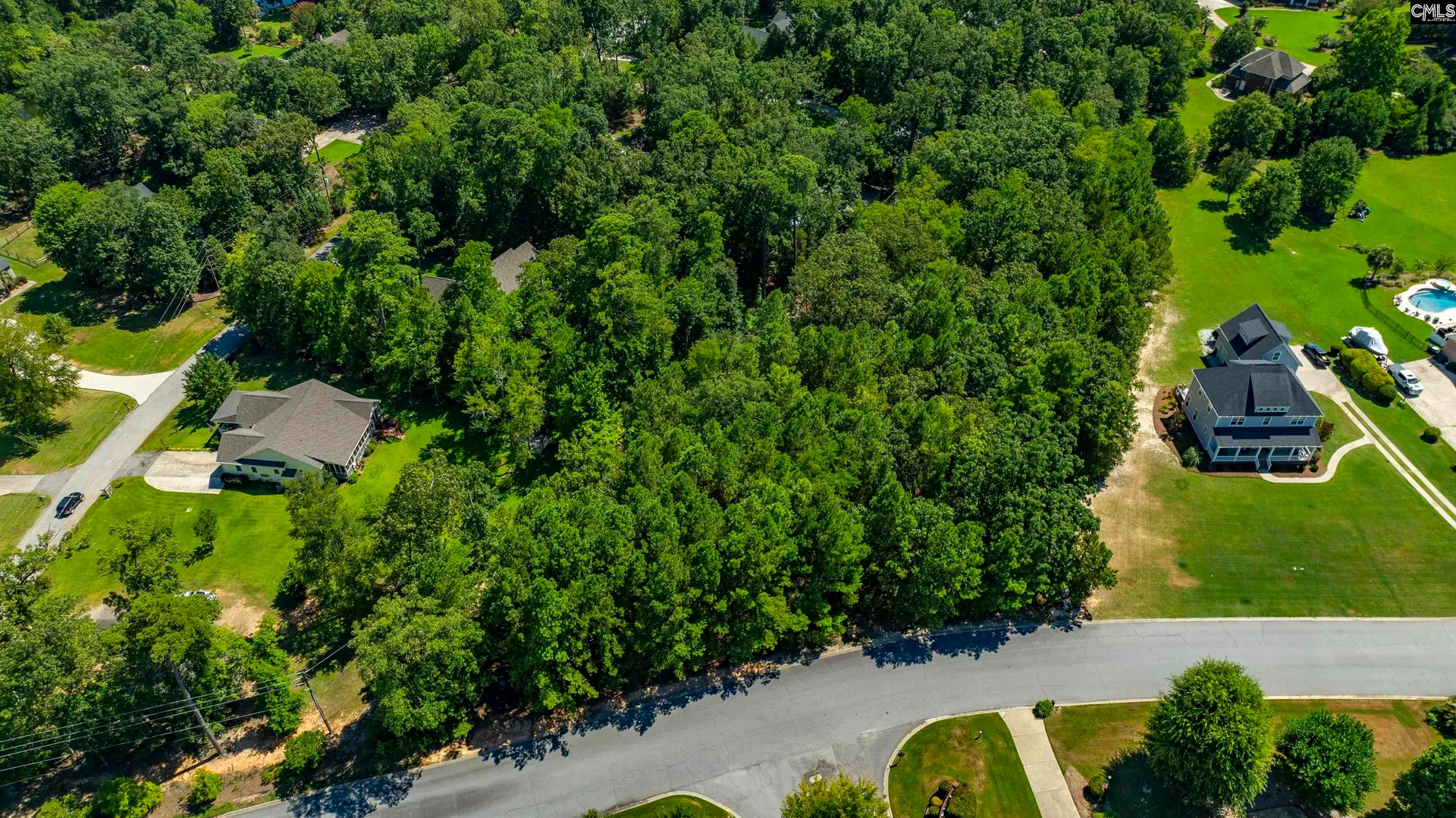 Property image 5 at 409 Caro Lane, Chapin, SC 29036