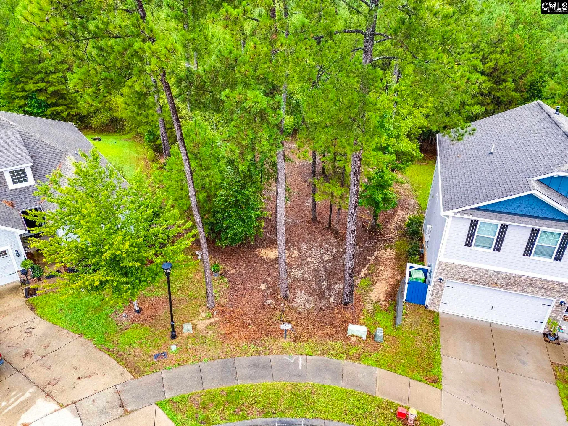794 Carolina Aster Drive