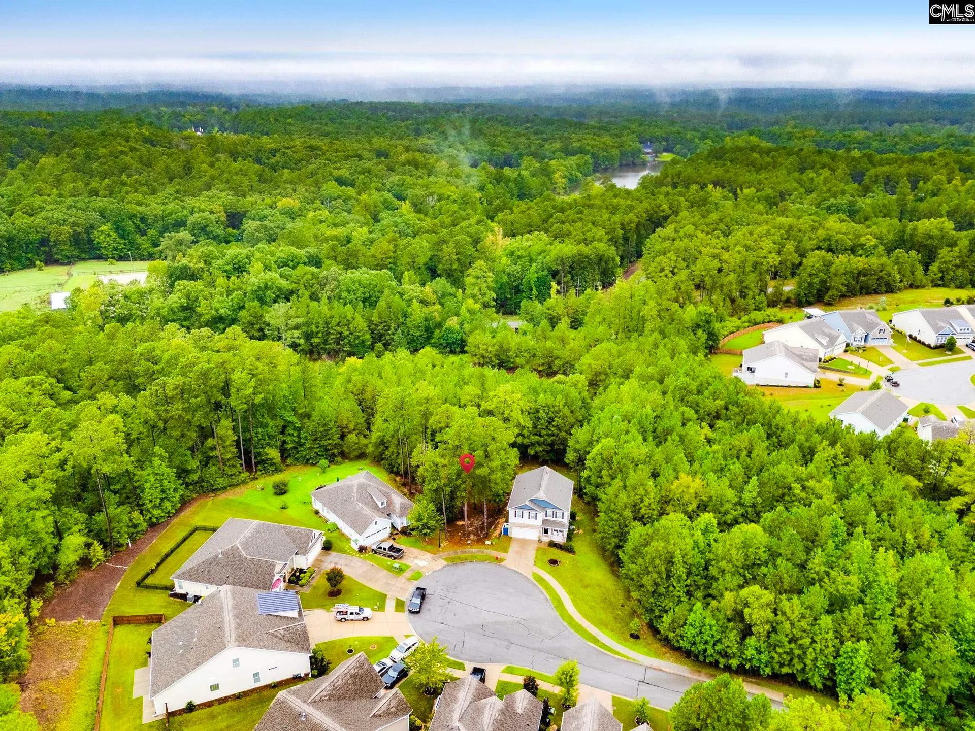 Property image 2 at 794 Carolina Aster Drive, Blythewood, SC 29016