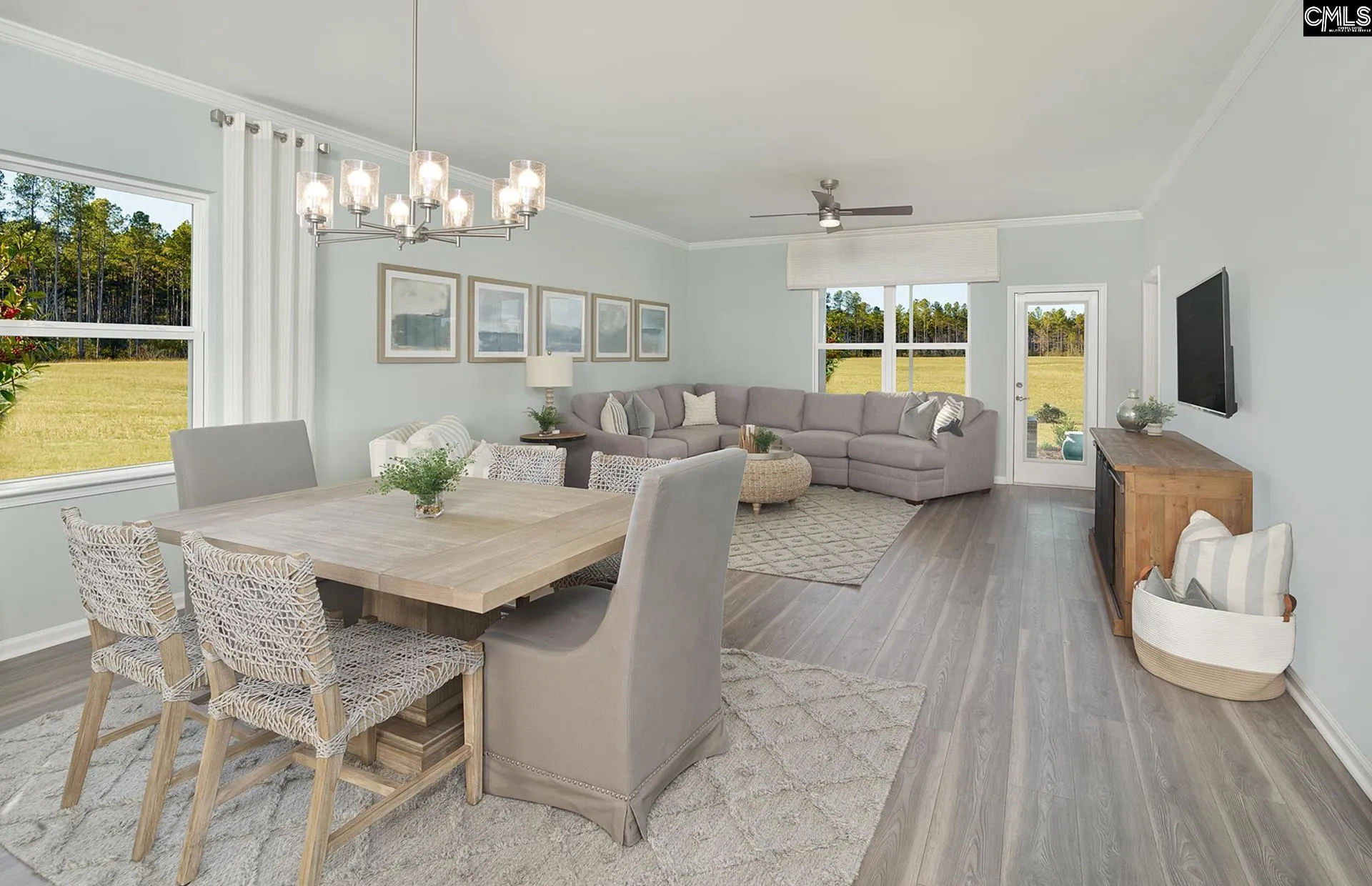 Property image 5 at 105 Monroe Preserve Drive, Chapin, SC 29036