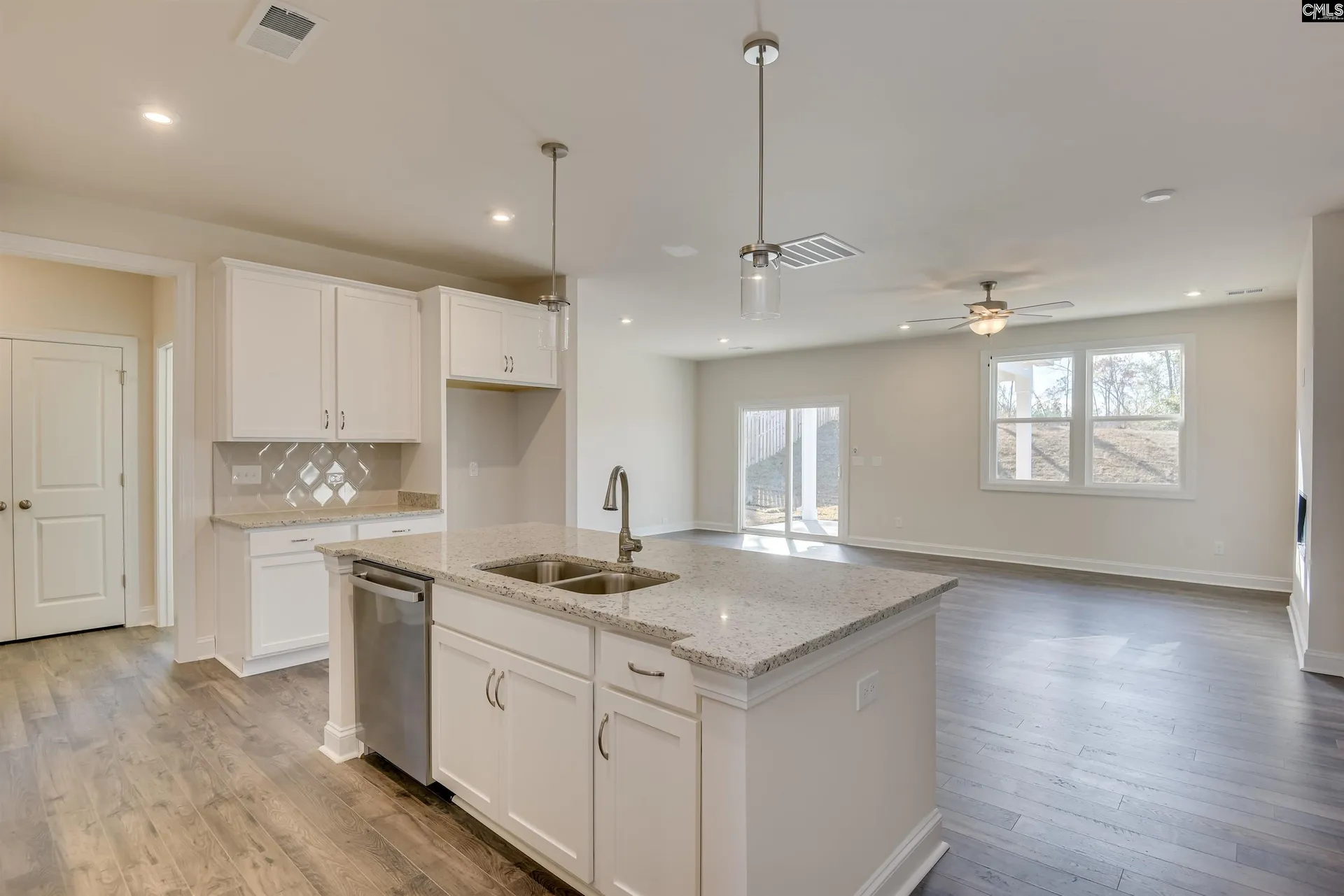 Property image 2 at 363 Chapin Place Way, Chapin, SC 29036