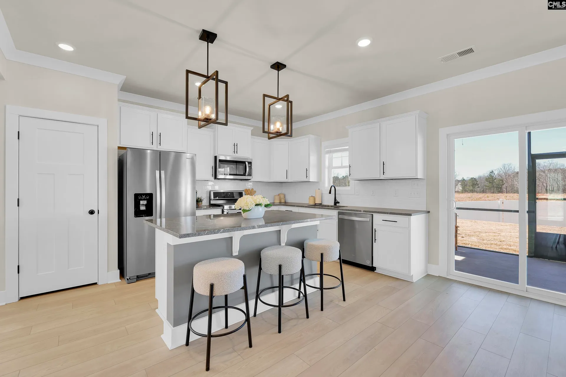 Property image 4 at 551 Griffon Drive, Chapin, SC 29036