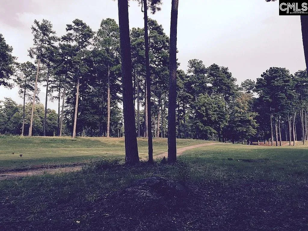 Property image 2 at 111 Water Links Drive, Chapin, SC 29036