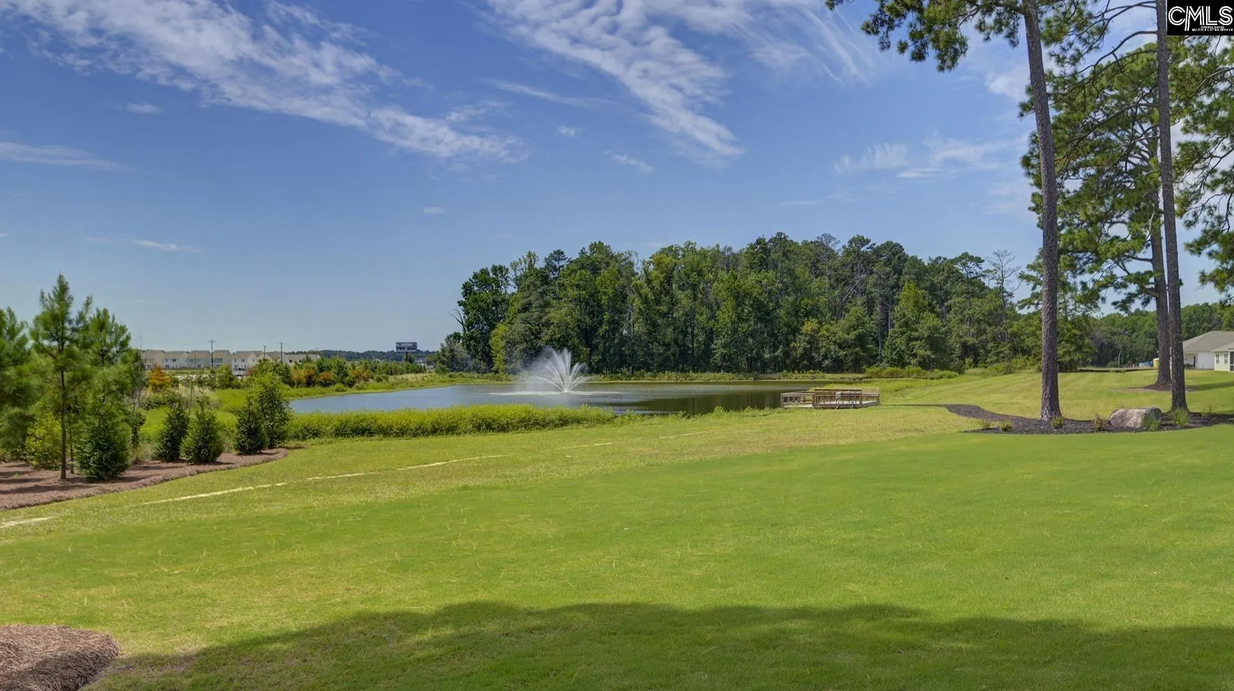 Property image 4 at 146 Ruby Prince Road, Gilbert, SC 29054