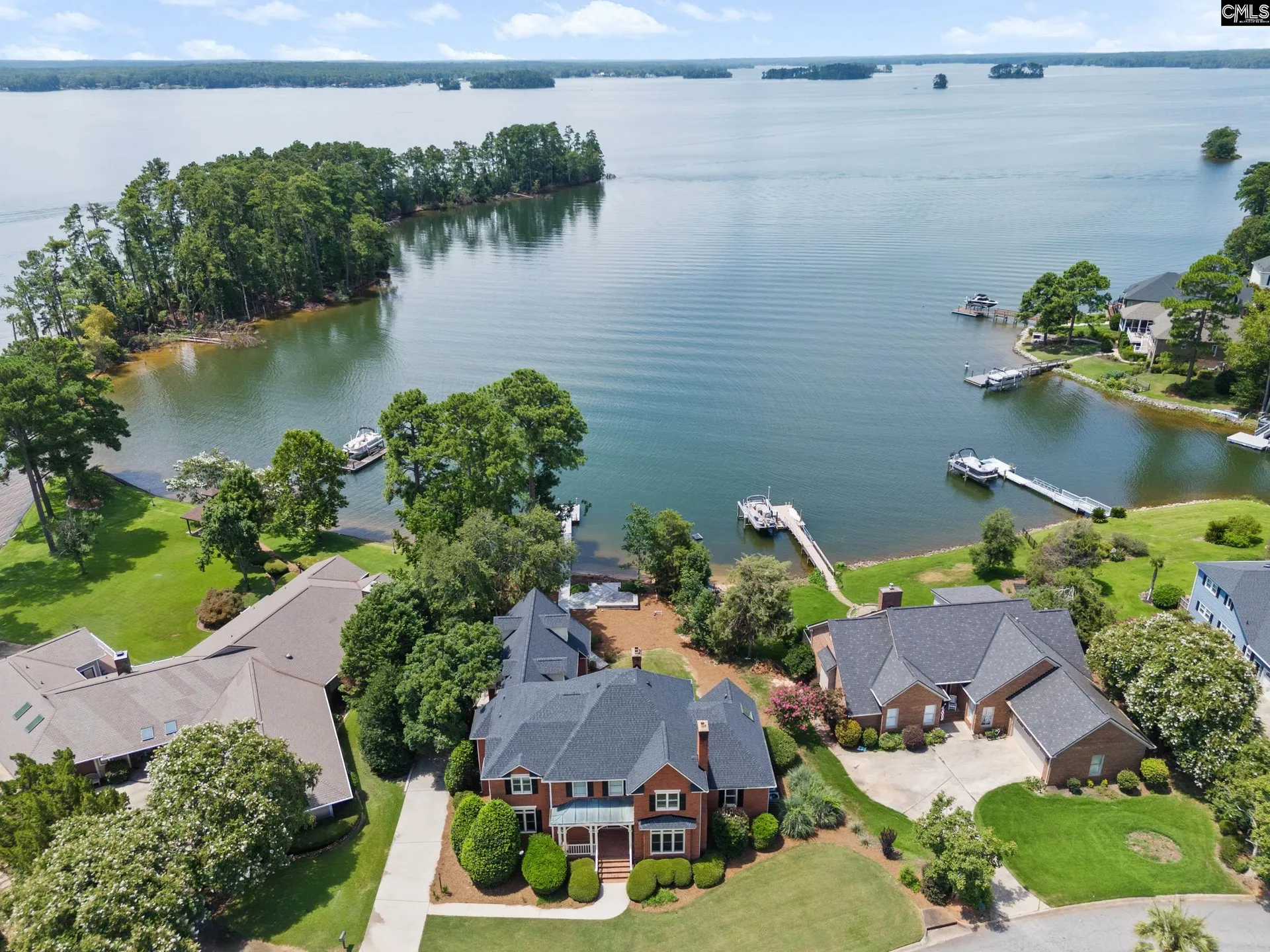 Property image 3 at 150 Lake Vista Drive, Chapin, SC 29036-8469