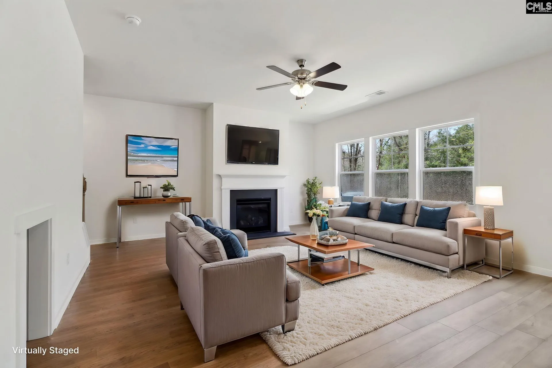 Property image 3 at 563 Griffon Drive, Chapin, SC 29036