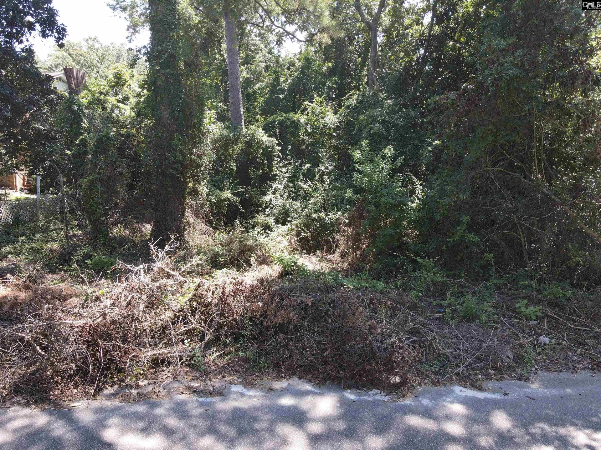 Property image 3 at S S Castleton Lane, Columbia, SC 29223