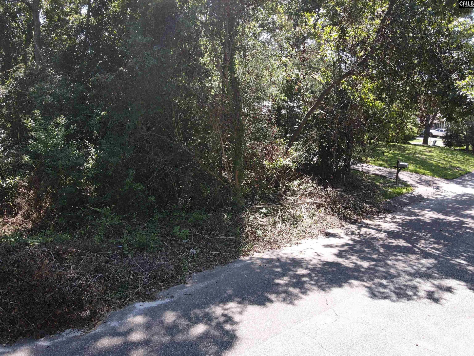 Property image 4 at S S Castleton Lane, Columbia, SC 29223