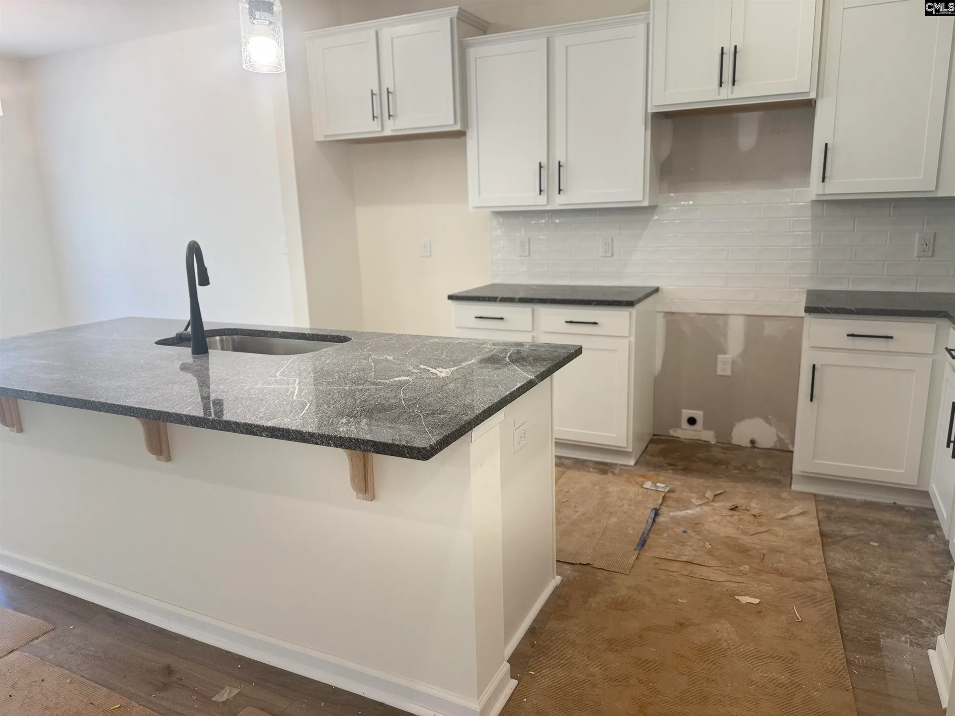 Property image 2 at 522 Griffon Drive, Chapin, SC 29036