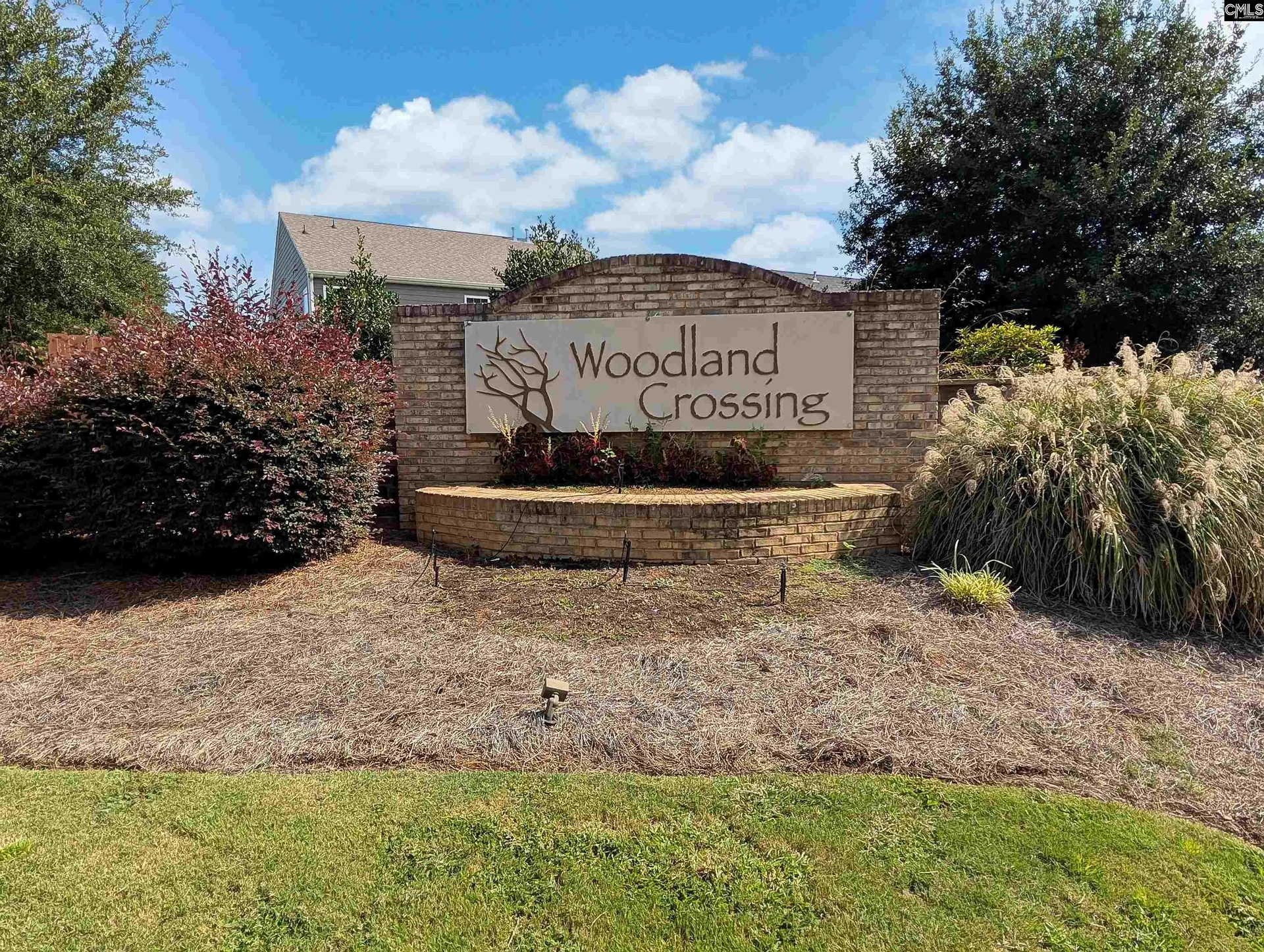 Property image 2 at 1125 Cherry Meadow Lane, Chapin, SC 29036