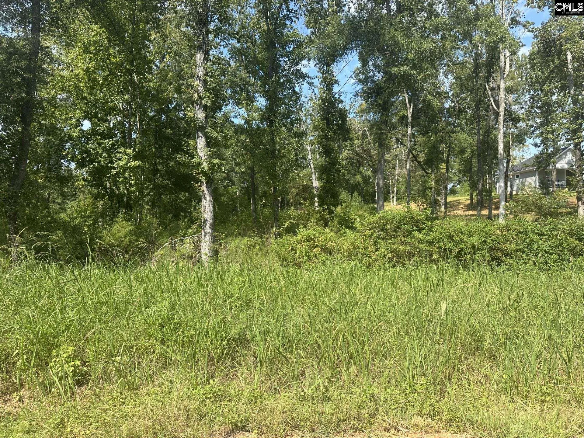 Property image 2 at 00 Seagull Lane, Prosperity, SC 29127
