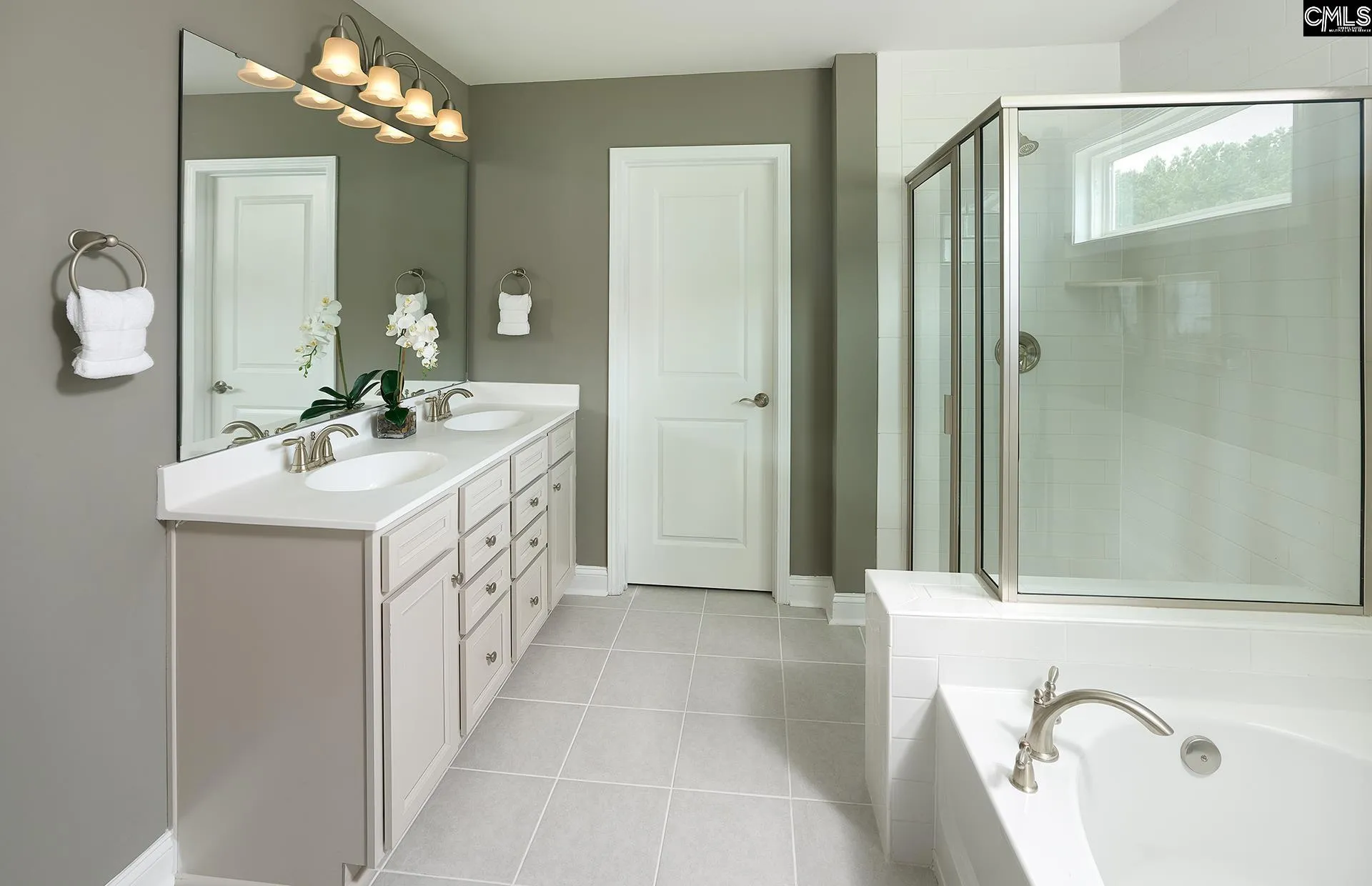 Property image 3 at 149 Monroe Preserve Drive, Chapin, SC 29036