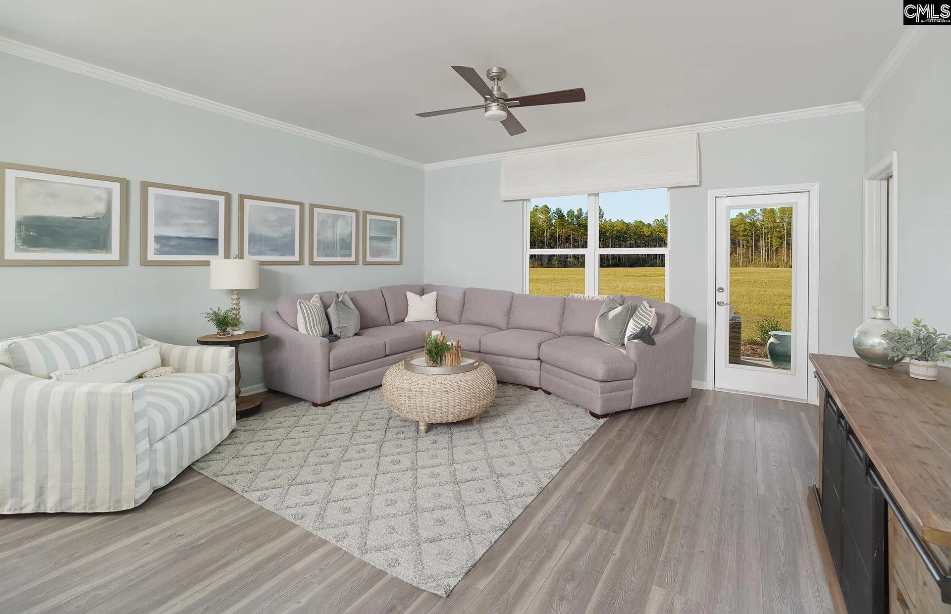 Property image 5 at 145 Monroe Preserve Drive, Chapin, SC 29036