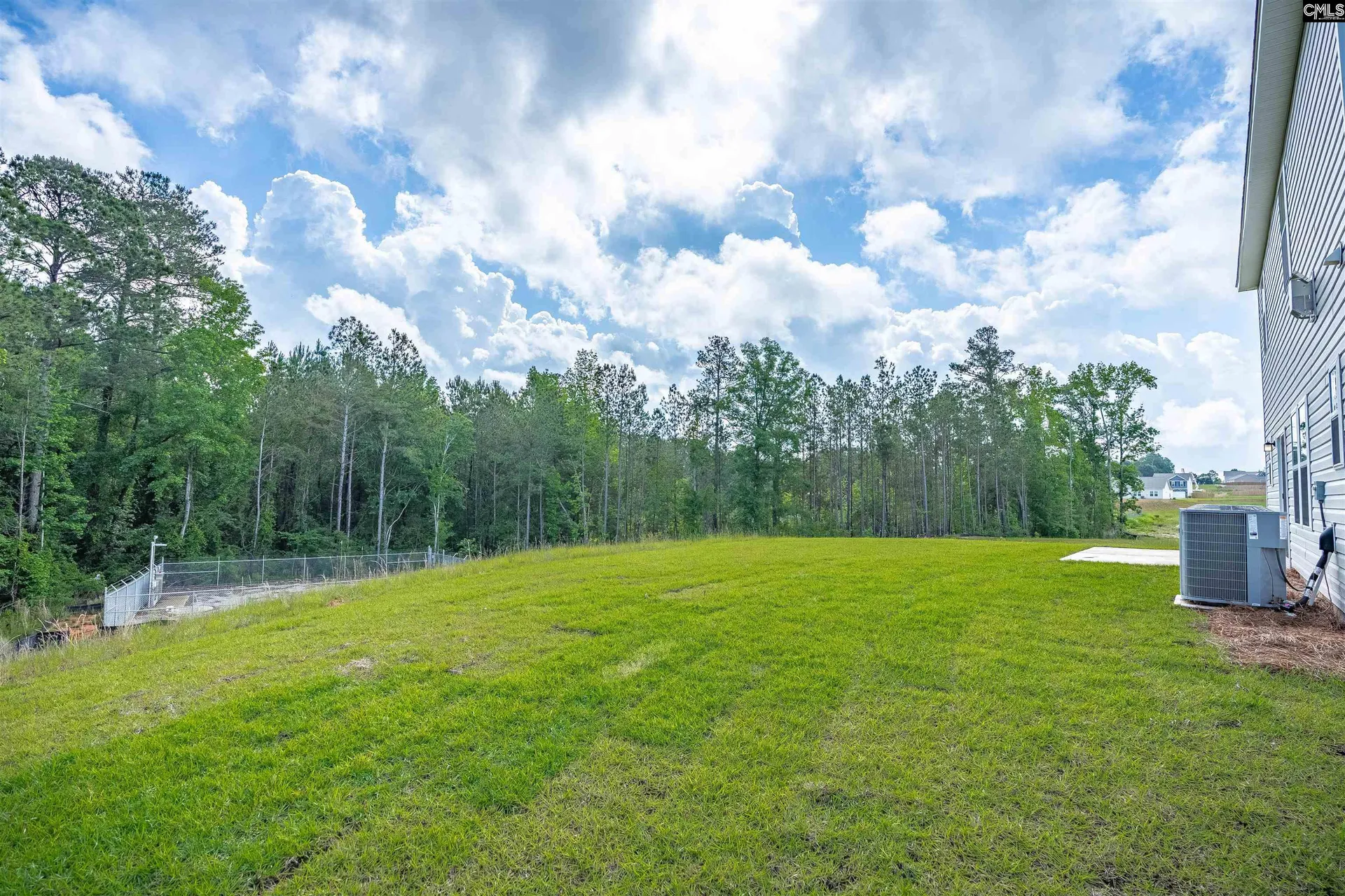 Property image 5 at 216 Caballeros Trail, Prosperity, SC 29127