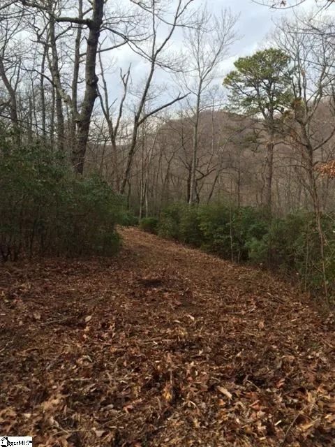 Panther Mountain Road