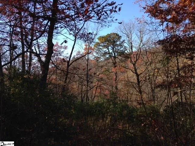 Property image 2 at Panther Mountain Road, Travelers Rest, SC 29690