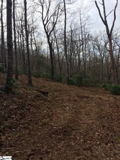 Property image 3 at Panther Mountain Road, Travelers Rest, SC 29690
