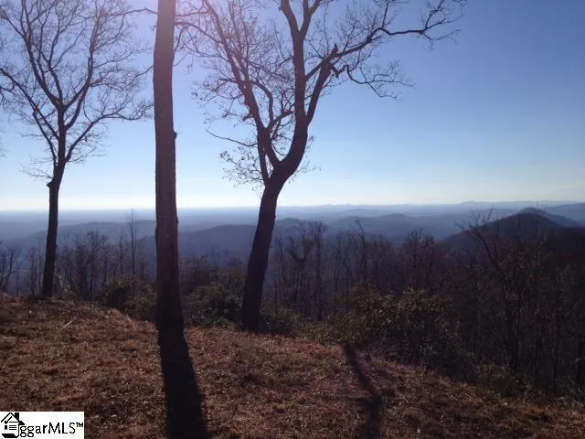 Property image 3 at 1506 Panther Park Trail, Travelers Rest, SC 29690