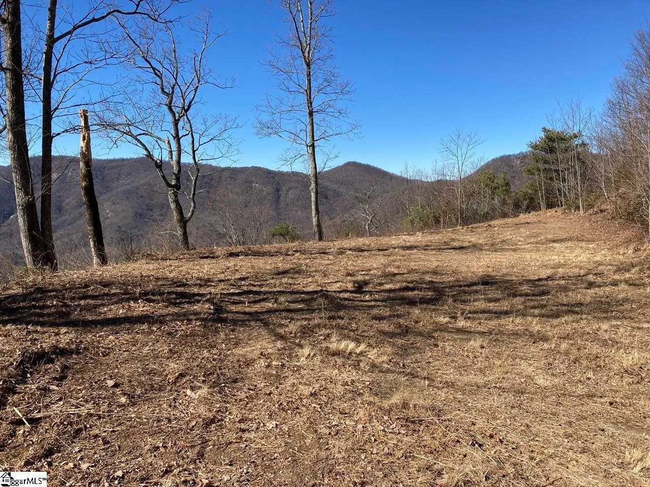 Property image 4 at 1506 Panther Park Trail, Travelers Rest, SC 29690