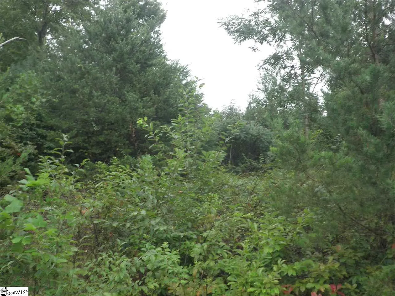 Property image 1 at 342 Woodmere Drive, Pickens, SC 29671