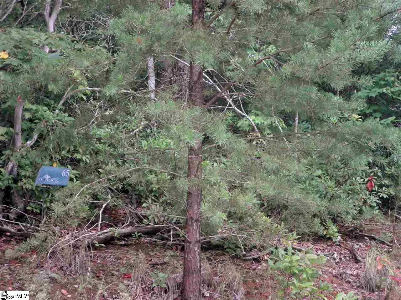 Property image 2 at 342 Woodmere Drive, Pickens, SC 29671