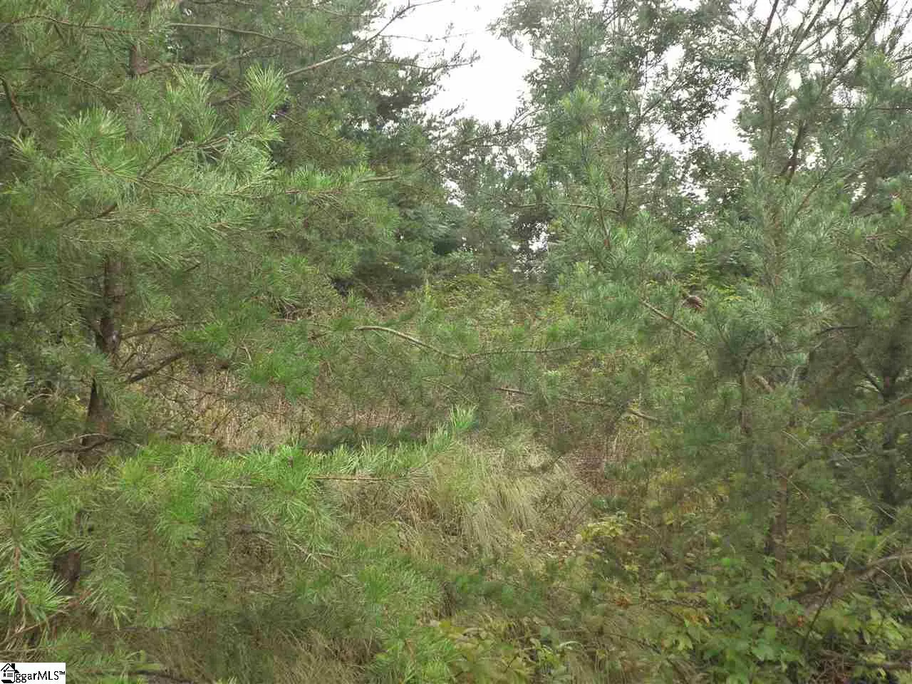 Property image 3 at 342 Woodmere Drive, Pickens, SC 29671