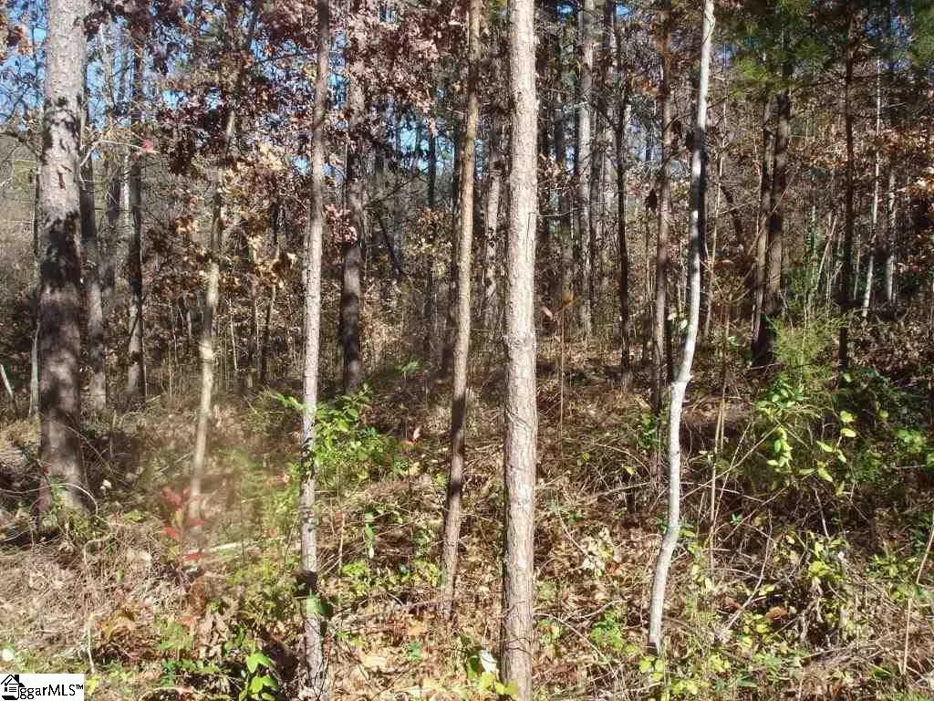 Property image 1 at 38 Lighthouse Court, Seneca, SC 29678