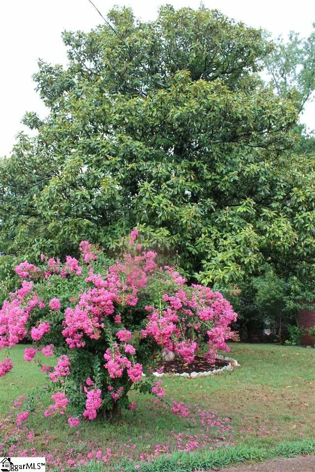 Property image 5 at 110 Glendale Street, Greenville, SC 29605